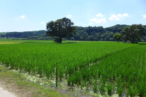 P1200608