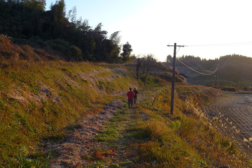 P1060768