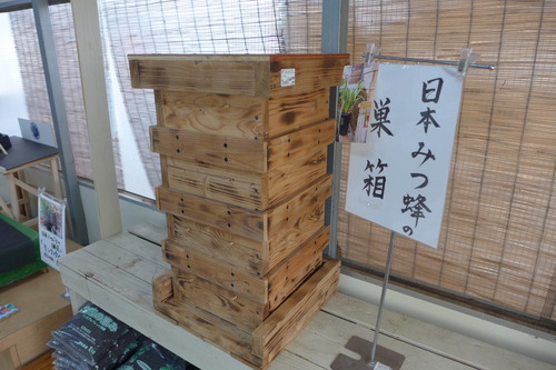 P1130751