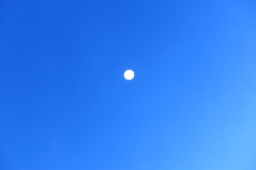 P1210172