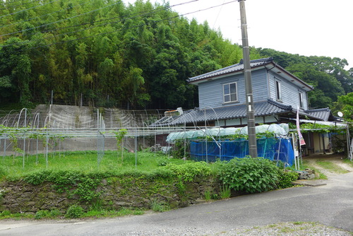P1020665