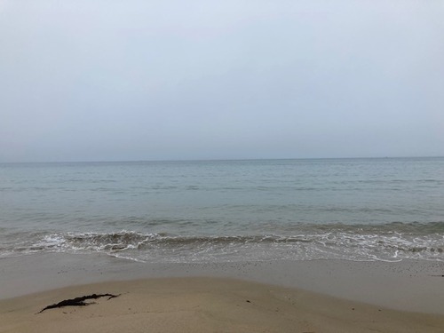 20260528霧中の宮地浜をつぶやく