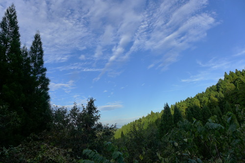 P1190036