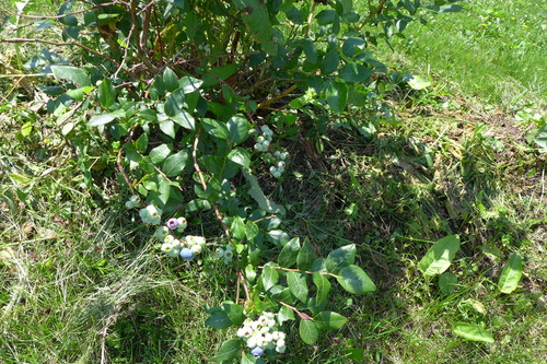 P1130570