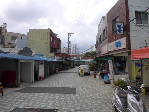 P1550309
