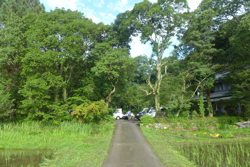 P1160768