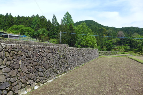 P1110234