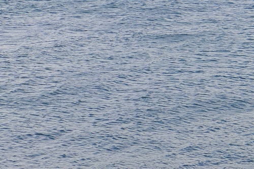P1100387