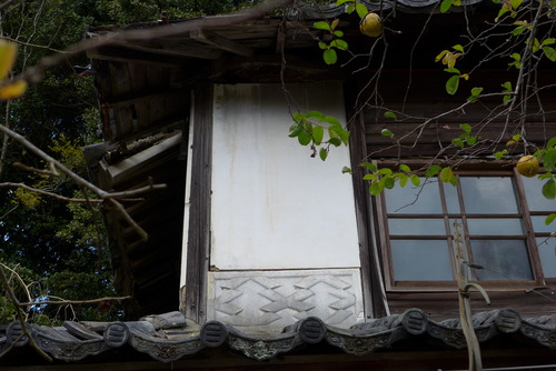 P1030166