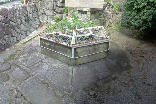 P1320502
