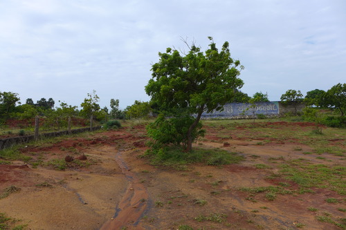 P1190920