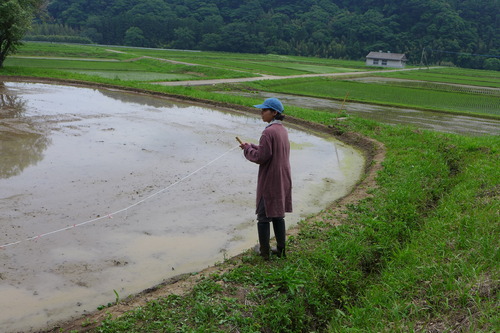 P1110254