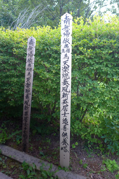 P1320774