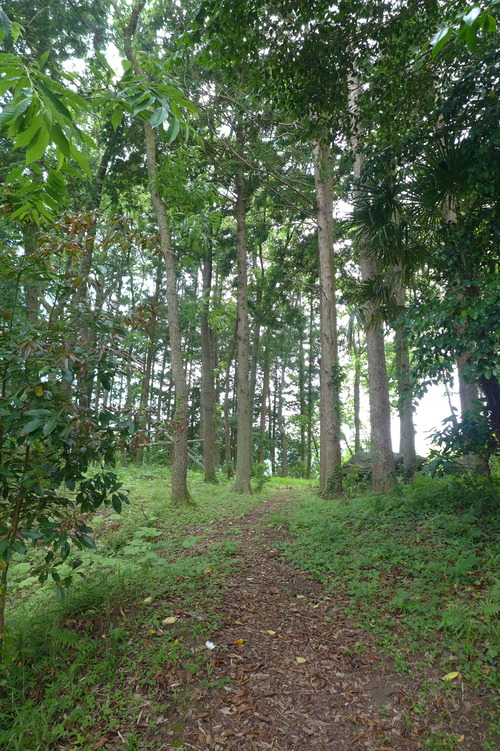 P1120898