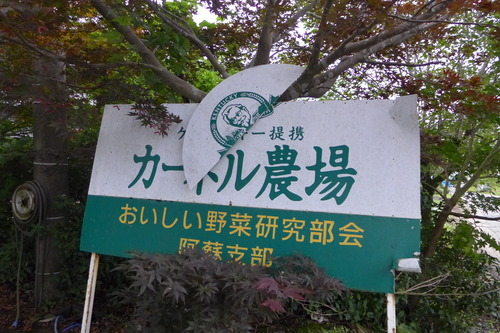 P1300277