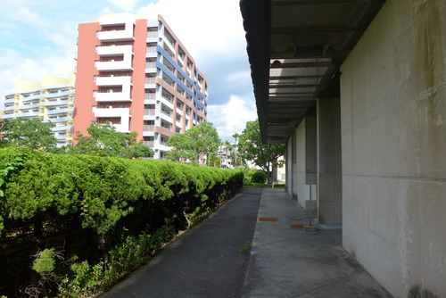P1070628
