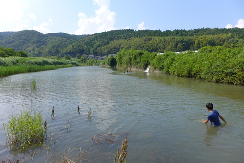 P1110331