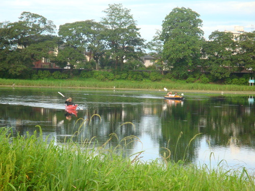 DSC09886