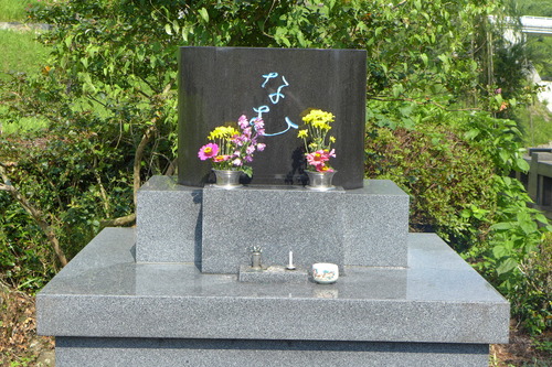 P1180635