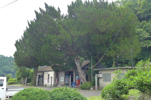 P1260384