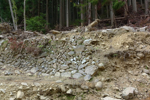 P1250901