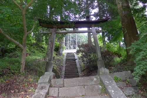 P1150795