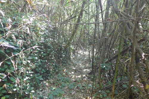 P1320140