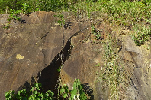 P1480682