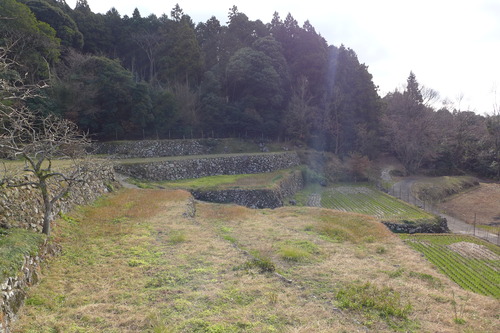 P1040366