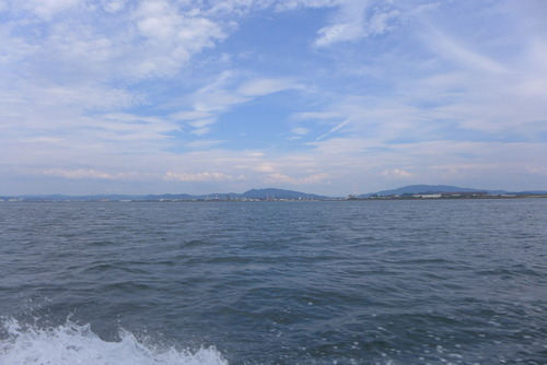 P1560773