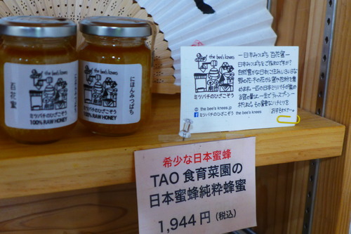 P1110544