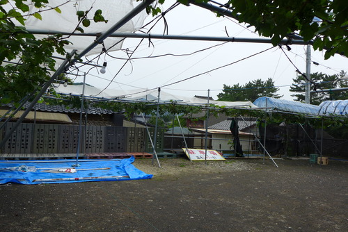 P1020654