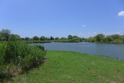 P1550744