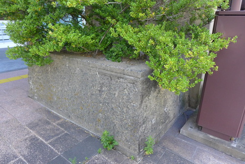 P1540291