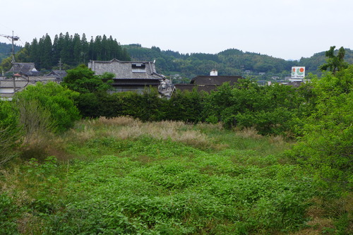P1130556