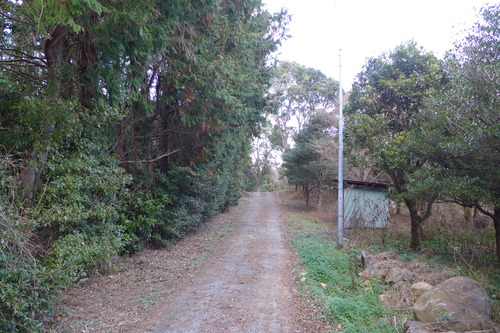 P1060627