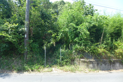 P1170829