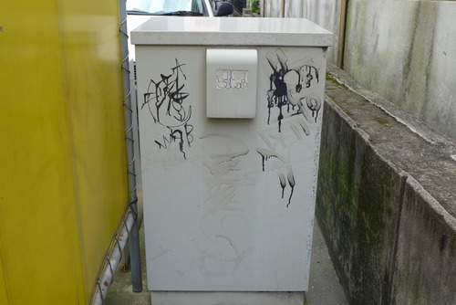 P1070571