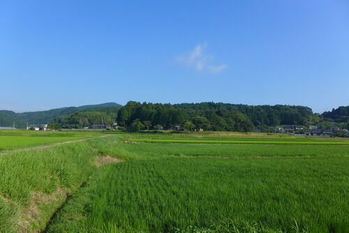 大分県杵築市山香町「カテリーナの森」主屋劇場化計画、始動！！