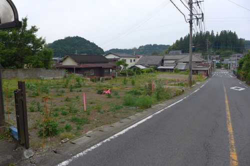 P1130558