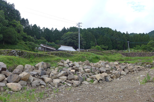 P1140044