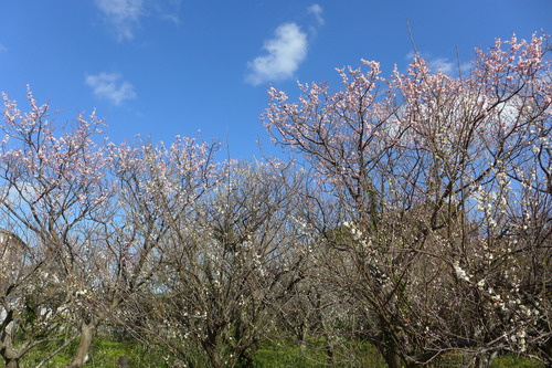 P1040588