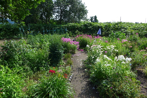 P1130214