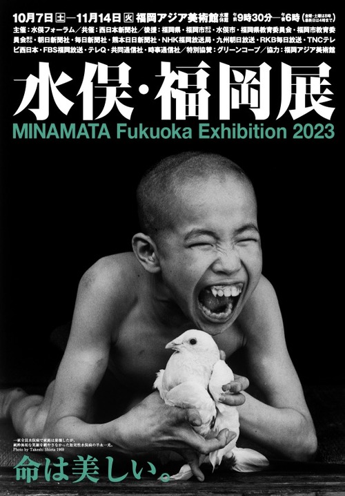 最終日！複数回の参観を果たすことができました。水俣・福岡展2023、始まりました！