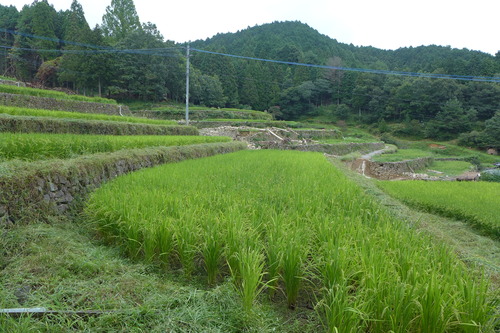 P1200267