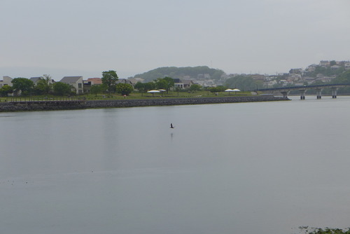 P1050060