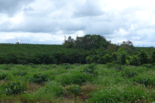 P1050624