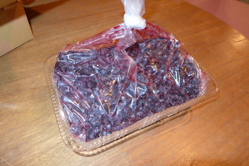 北海道・美唄から美味しい美味しいハスカップ１kgがご縁あって七夕祭のわが家へ！ああ僥倖ならん！田島茂さま真弓さん、ほんとうにありがとうございました！！