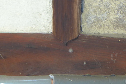 P1220716