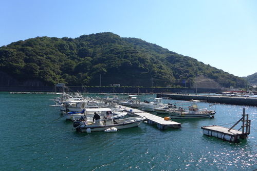 P1000712